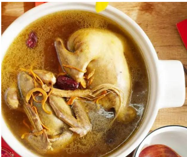 pigeon  soup(Anchor development)